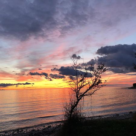 App Sorgo Lägenhet Novigrad Istria Exteriör bild