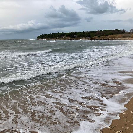 App Sorgo Lägenhet Novigrad Istria Exteriör bild