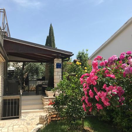App Sorgo Lägenhet Novigrad Istria Exteriör bild