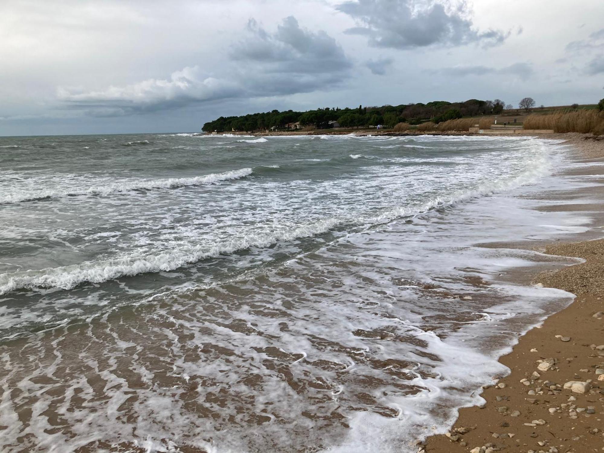App Sorgo Lägenhet Novigrad Istria Exteriör bild