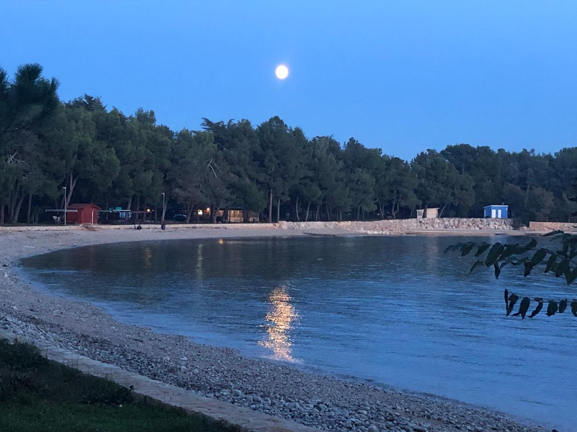 App Sorgo Lägenhet Novigrad Istria Exteriör bild