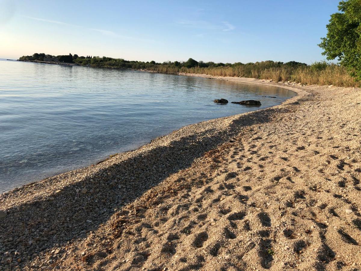 App Sorgo Lägenhet Novigrad Istria Exteriör bild