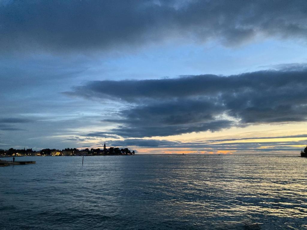 App Sorgo Lägenhet Novigrad Istria Exteriör bild