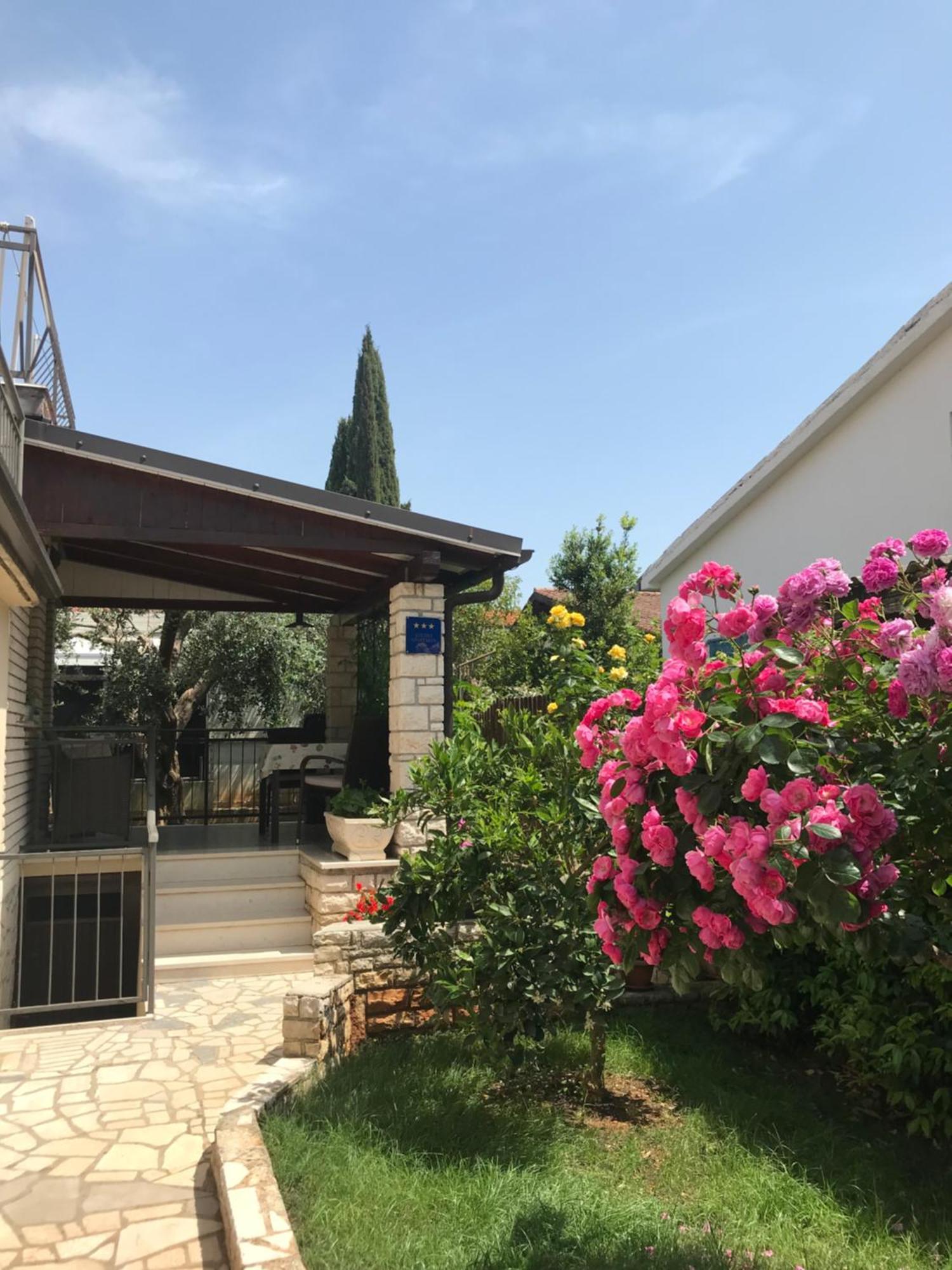 App Sorgo Lägenhet Novigrad Istria Exteriör bild