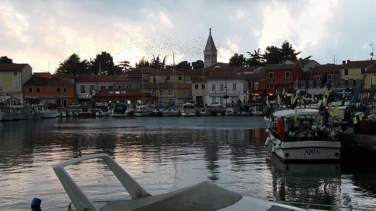 App Sorgo Lägenhet Novigrad Istria Exteriör bild