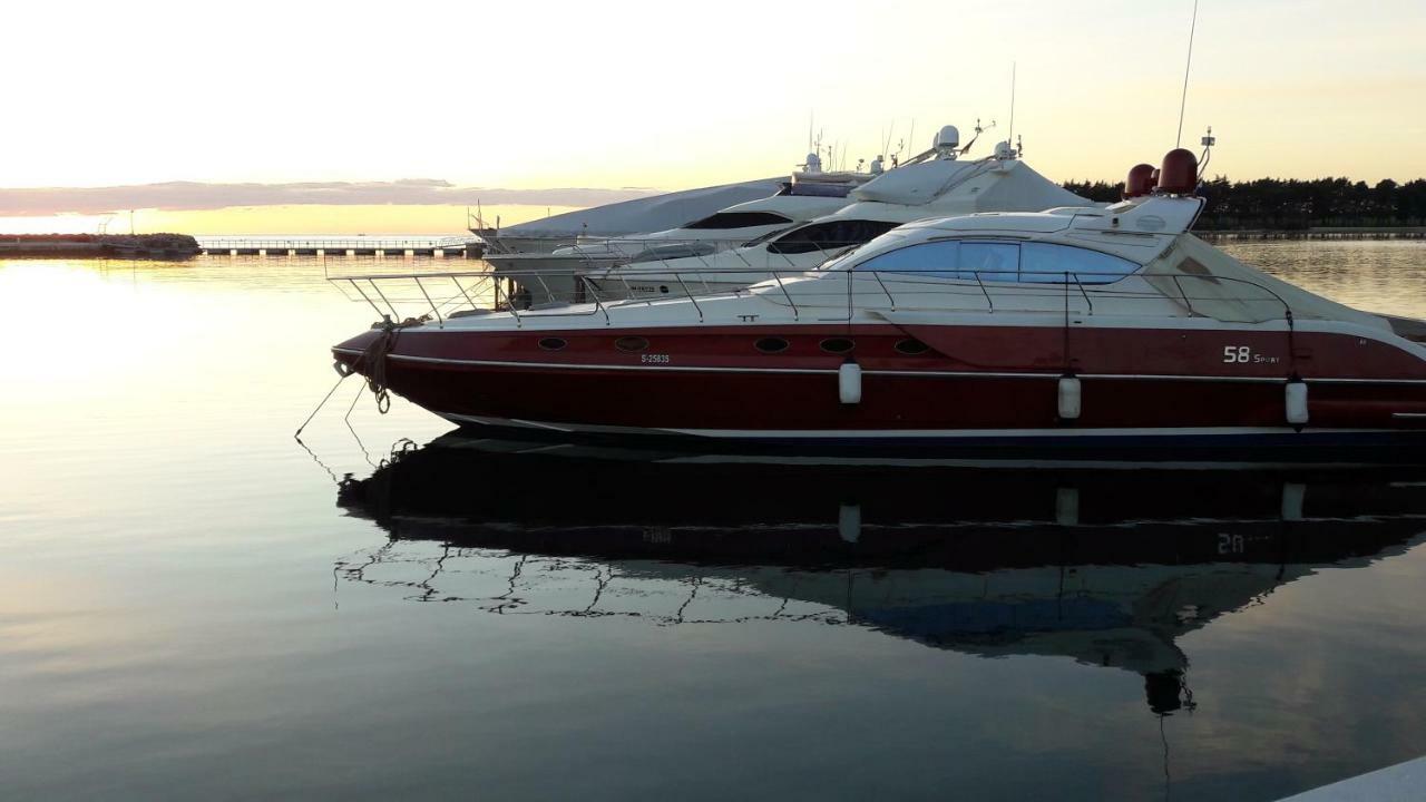 App Sorgo Lägenhet Novigrad Istria Exteriör bild