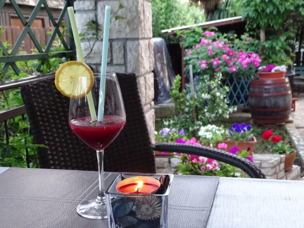 App Sorgo Lägenhet Novigrad Istria Exteriör bild